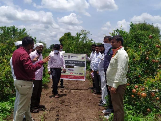 Guidance to farmers from experts in the Department of Agriculture | कृषी विभागातील तज्ञांकडुन शेतकऱ्यांना मार्गदर्शन Guidance to farmers from experts in the Department of Agriculture | कृषी विभागातील तज्ञांकडुन शेतकऱ्यांना मार्गदर्शन
