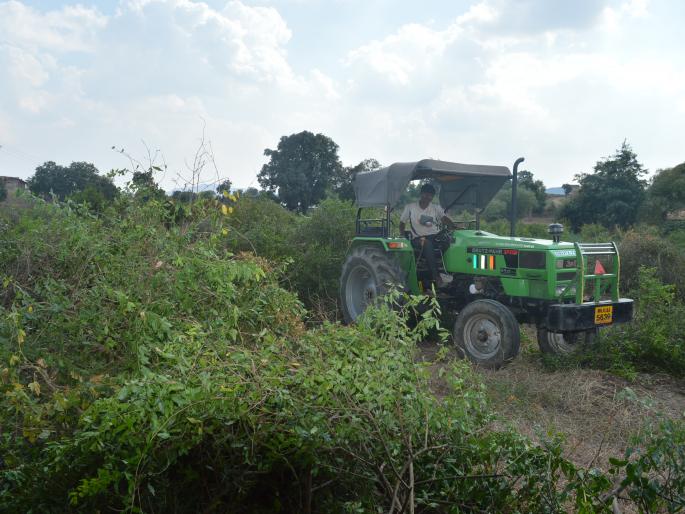 Revoked tractor in pomegranate garden | डाळिंबाच्या बागेत फिरविला ट्रॅक्टर