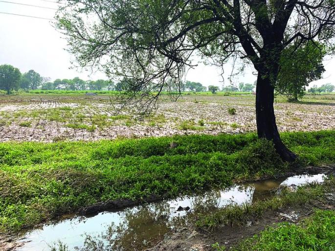 The governing body has not reached the thousands of Farmers | हजारो नुकसानग्रस्तांच्या बांधावर पोहचलीच नाही प्रशासकीय यंत्रणा The governing body has not reached the thousands of Farmers | हजारो नुकसानग्रस्तांच्या बांधावर पोहचलीच नाही प्रशासकीय यंत्रणा