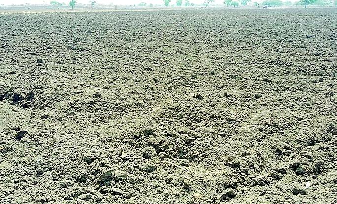 Groundnut made from wild animals | वन्यप्राण्यांनी भुईमूग केले भुईसपाट