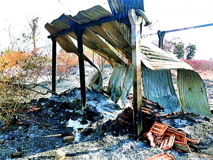 Due to the short circuit, | शॉर्टसर्किटमुळे गोठ्याची राखरांगोळी Due to the short circuit, | शॉर्टसर्किटमुळे गोठ्याची राखरांगोळी