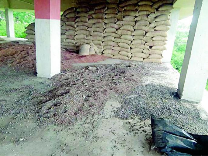 Government gram is poor and poor | शासकीय चना व तूर होतेय खराब Government gram is poor and poor | शासकीय चना व तूर होतेय खराब