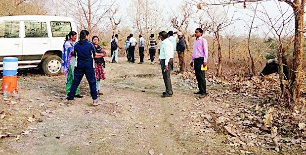 Due to the violation of a forest department | वन खात्याच्या फौजेला वाघिणीची हुलकावणी Due to the violation of a forest department | वन खात्याच्या फौजेला वाघिणीची हुलकावणी