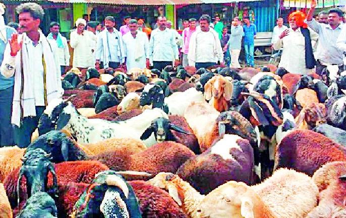 In Ralega, the shepherds' front was blocked | राळेगावात मेंढपाळांचा मोर्चा अडविला In Ralega, the shepherds' front was blocked | राळेगावात मेंढपाळांचा मोर्चा अडविला