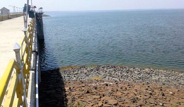 Only 29 percent of water in the bamboo | बेंबळात केवळ २९ टक्के पाणी Only 29 percent of water in the bamboo | बेंबळात केवळ २९ टक्के पाणी