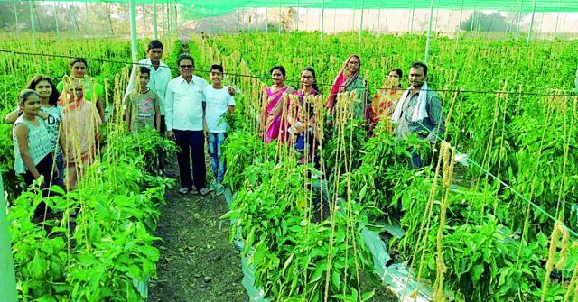 On the way to the farming of the loss, | तोट्यातील शेती आणली नफ्याच्या वाटेवर