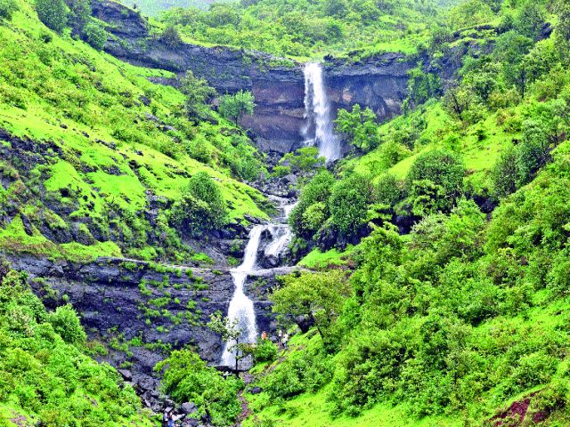 Greenway Natala Igatpuri Taluka | हिरवाईने नटला इगतपुरी तालुका Greenway Natala Igatpuri Taluka | हिरवाईने नटला इगतपुरी तालुका