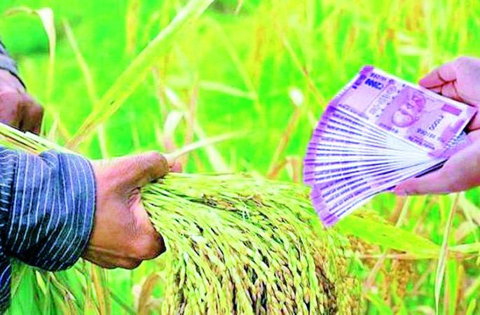 Concern of farmers in the district increased by the improved percentage | सुधारित पैसेवारीने वाढविली जिल्ह्यातील शेतकऱ्यांची चिंता Concern of farmers in the district increased by the improved percentage | सुधारित पैसेवारीने वाढविली जिल्ह्यातील शेतकऱ्यांची चिंता