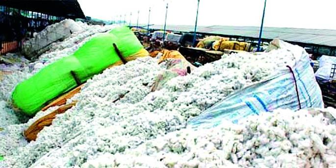 Farmers relieved by cotton price hike | कापसाच्या दरवाढीमुळे शेतकऱ्यांना मिळाला दिलासा