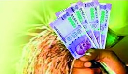 21 thousand Crore loans for 31 thousand farmers | ३१ हजार शेतकऱ्यांना २१६ कोटींचे पीककर्ज 21 thousand Crore loans for 31 thousand farmers | ३१ हजार शेतकऱ्यांना २१६ कोटींचे पीककर्ज