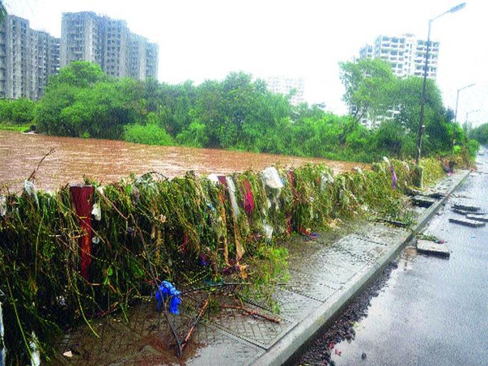 Drainage of plastic, plastic stuck, cleaning started | पुलांच्या कथड्यांना पाणवेली, प्लॅस्टिक अडकले, स्वच्छता सुरू Drainage of plastic, plastic stuck, cleaning started | पुलांच्या कथड्यांना पाणवेली, प्लॅस्टिक अडकले, स्वच्छता सुरू