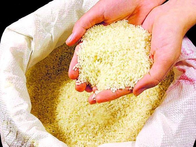 Pre-Vidarbha lowers torrential rains; Rice is expensive | पूर्व विदर्भात कमी पावसाचा धानाला फटका; तांदूळ महागला Pre-Vidarbha lowers torrential rains; Rice is expensive | पूर्व विदर्भात कमी पावसाचा धानाला फटका; तांदूळ महागला