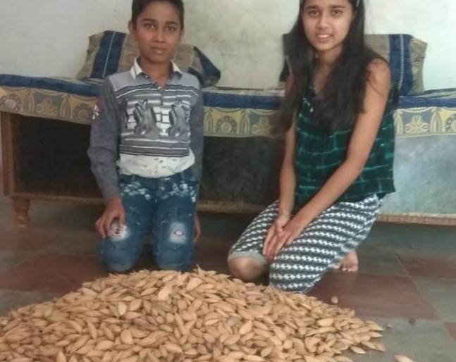 Inspirational: Ten year old children have collected two thousand seeds | प्रेरणादायी: दहा वर्षीय बालकाने केले दोन हजार बीज संकलन व रोपण Inspirational: Ten year old children have collected two thousand seeds | प्रेरणादायी: दहा वर्षीय बालकाने केले दोन हजार बीज संकलन व रोपण