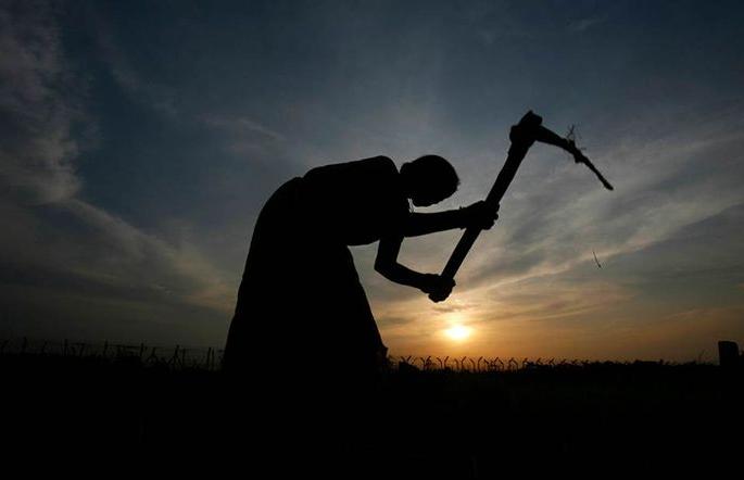 19.39 lakh farmers of Vidarbha are eligible for help | विदर्भातील १९.३९ लाख शेतकरी मदतीसाठी पात्र