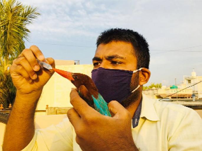 undefined | लॉकडाऊनमध्ये वनप्राण्यांना जीवदान undefined | लॉकडाऊनमध्ये वनप्राण्यांना जीवदान