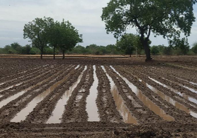 Pre-monsoon rains dried up ponds in the fields | मान्सूनपूर्व पावसाने शेतात साचले तळे Pre-monsoon rains dried up ponds in the fields | मान्सूनपूर्व पावसाने शेतात साचले तळे