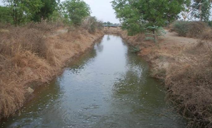 Collect fifteen pulse storage reservoirs in the lake | नकाणे तलावात पंधरा दलघफू जलसाठा संकलित
