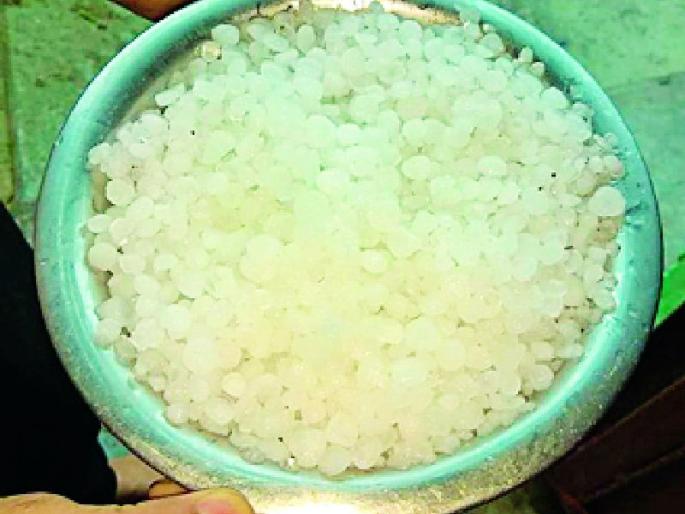Hail grows in Darapura | दारापुरात कोसळल्या गारा Hail grows in Darapura | दारापुरात कोसळल्या गारा