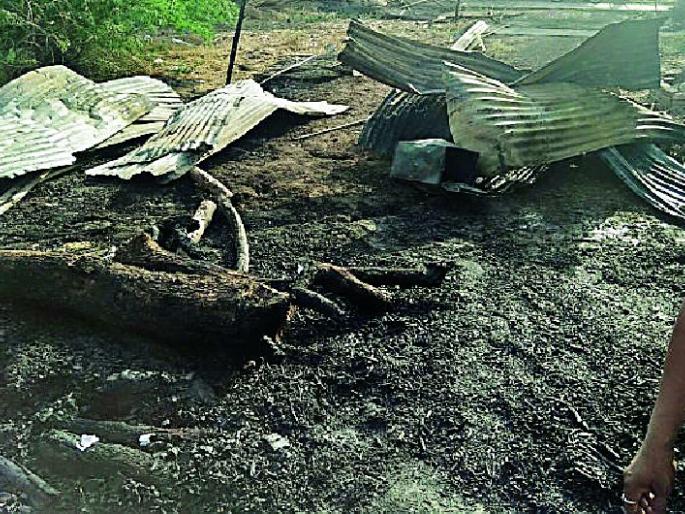 Five houses burnt | पाच घरे जळून खाक Five houses burnt | पाच घरे जळून खाक