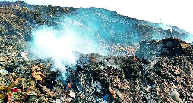 Make manure in 21 days and get a prize of 1 lakh rupees | २१ दिवसांत खतनिर्मिती करा अन् १ लक्ष रुपयांचे बक्षीस घ्या Make manure in 21 days and get a prize of 1 lakh rupees | २१ दिवसांत खतनिर्मिती करा अन् १ लक्ष रुपयांचे बक्षीस घ्या