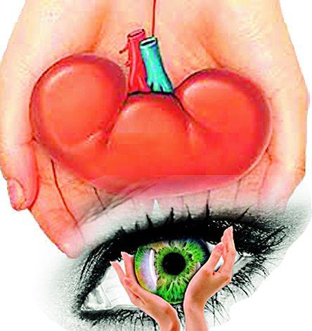 Eight people got vision and 12 people Kidney | आठ जणांना दृष्टी अन् १२ लोकांना मिळाली किडनी Eight people got vision and 12 people Kidney | आठ जणांना दृष्टी अन् १२ लोकांना मिळाली किडनी