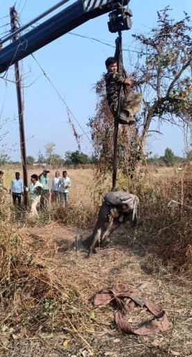 Roha rescued in the well in Amravati district after 23 hours | अमरावती जिल्ह्यात विहिरीत पडलेल्या रोह्याची २३ तासानंतर सुटका