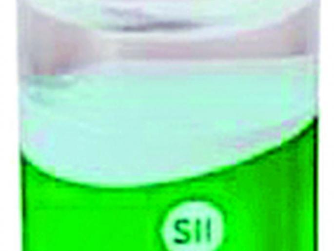 When to vaccinate seniors in urban areas in rural areas? | शहरी भागात ज्येष्ठांना लसीकरण ग्रामीणमध्ये केव्हा? When to vaccinate seniors in urban areas in rural areas? | शहरी भागात ज्येष्ठांना लसीकरण ग्रामीणमध्ये केव्हा?