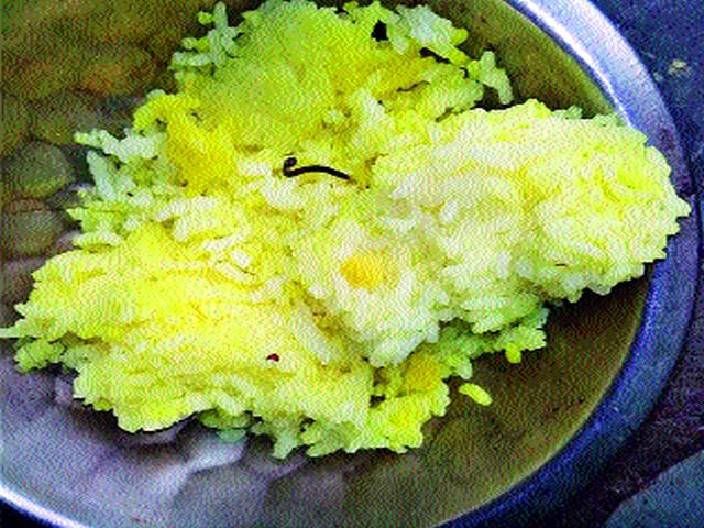 Snake cooked in nutritious diet | पोषण आहारात शिजला साप