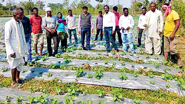 Agriculture Worker Farmer Visits | कृषी कर्मचारी शेतकऱ्यांच्या भेटीला Agriculture Worker Farmer Visits | कृषी कर्मचारी शेतकऱ्यांच्या भेटीला