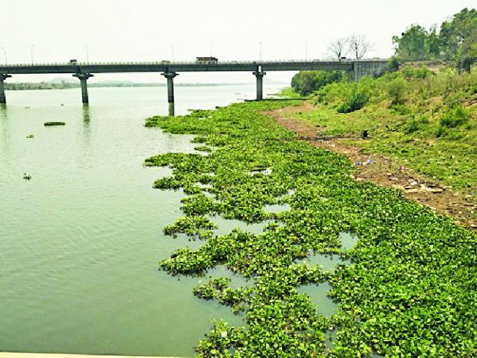 Citizens' wander for water in the reservoir | भंडाऱ्यात पाण्यासाठी नागरिकांची भटकंती Citizens' wander for water in the reservoir | भंडाऱ्यात पाण्यासाठी नागरिकांची भटकंती