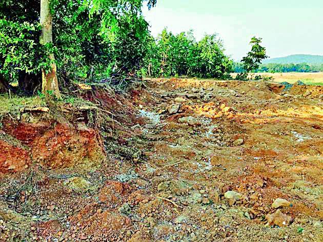 Trees have been damaged due to mining | मुरुम खनन करताना वृक्षांचे झाले नुकसान Trees have been damaged due to mining | मुरुम खनन करताना वृक्षांचे झाले नुकसान