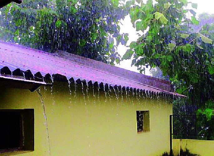 Heavy rains in the district | जिल्ह्यात मुसळधार पाऊस Heavy rains in the district | जिल्ह्यात मुसळधार पाऊस