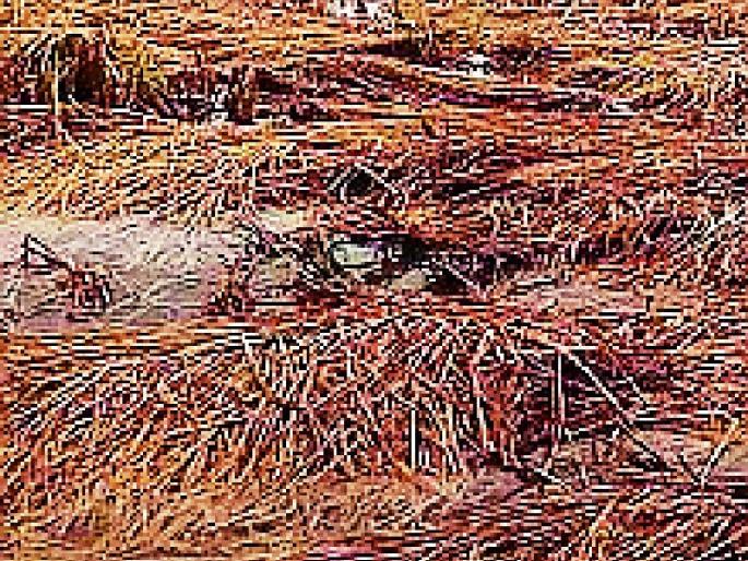 Survey from the agriculture itself | बांधावरुनच सर्वेक्षण Survey from the agriculture itself | बांधावरुनच सर्वेक्षण