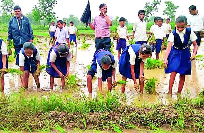The students threw the leaves, the farmers gave a great deal of appreciation | विद्यार्थ्यांनी पाडली पात, शेतकऱ्यांनी दिली कौतुकाची थाप