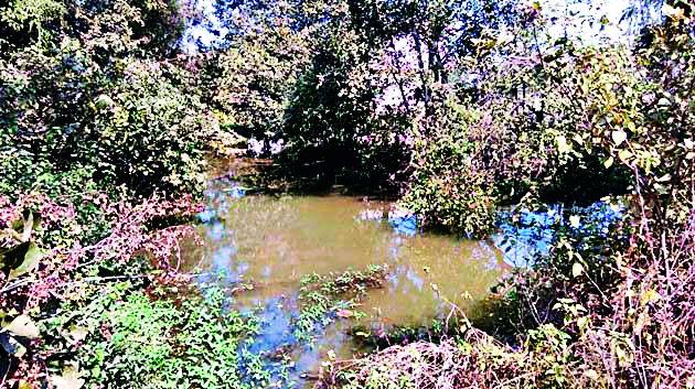 Drinking water for agriculture | पिण्याचे पाणी शेतीकरिता Drinking water for agriculture | पिण्याचे पाणी शेतीकरिता