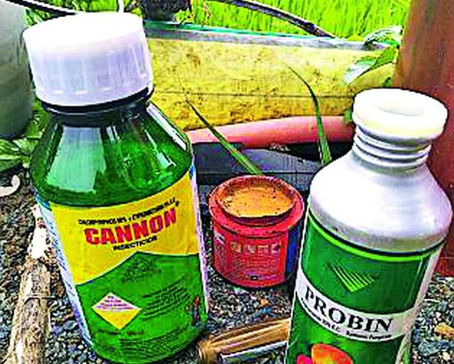 The crowd for the purchase of pesticides | कीटकनाशके खरेदीसाठी गर्दी The crowd for the purchase of pesticides | कीटकनाशके खरेदीसाठी गर्दी