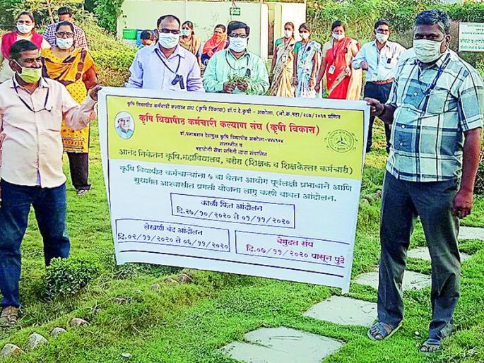 Movement to stop writing in agricultural colleges | कृषी महाविद्यालयात लेखणी बंद आंदोलन Movement to stop writing in agricultural colleges | कृषी महाविद्यालयात लेखणी बंद आंदोलन