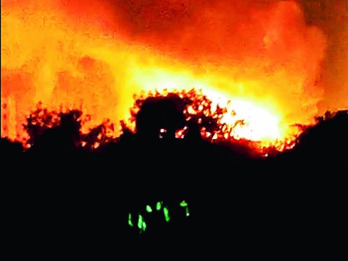 Fire at Government Medical College in Chandrapur | चंद्रपुरातील शासकीय मेडिकल महाविद्यालयाला भीषण आग