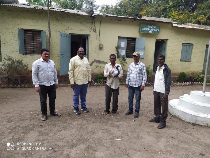 Awareness of the citizens saved the life of the bird | नागरिकांच्या जागरुकतेमुळे वाचले पक्ष्याचे प्राण Awareness of the citizens saved the life of the bird | नागरिकांच्या जागरुकतेमुळे वाचले पक्ष्याचे प्राण