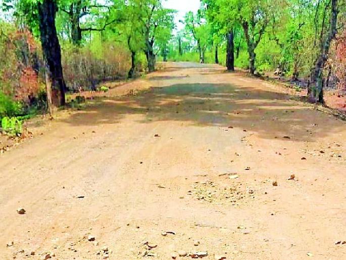 The plight of Talegaon-Rajoli road | तळेगाव-राजोली मार्गाची दुर्दशा The plight of Talegaon-Rajoli road | तळेगाव-राजोली मार्गाची दुर्दशा