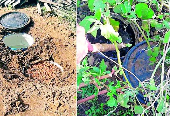 Destroy eight drums jaggery rot | आठ ड्रम गुळ सडवा नष्ट Destroy eight drums jaggery rot | आठ ड्रम गुळ सडवा नष्ट