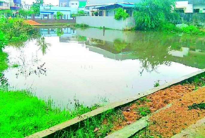 The idyllic nature of empty plots | रिकाम्या भूखंडांना डबक्याचे स्वरूप The idyllic nature of empty plots | रिकाम्या भूखंडांना डबक्याचे स्वरूप