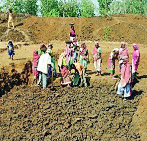 2.38 lakh laborers disabled in Rohaiya | रोहयोवरील २.३८ लाख मजूर अकार्यक्षम 2.38 lakh laborers disabled in Rohaiya | रोहयोवरील २.३८ लाख मजूर अकार्यक्षम