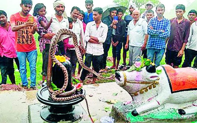This year, Nagaraj descended on Nagpanchami | याहीवर्षी नागपंचमीला अवतरले नागराज This year, Nagaraj descended on Nagpanchami | याहीवर्षी नागपंचमीला अवतरले नागराज