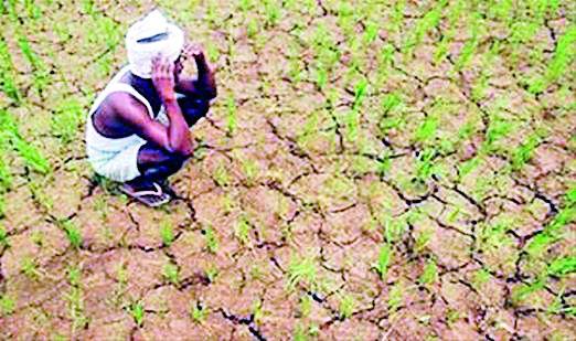 Waiting for drought relief for two years | दोन वर्षांपासून दुष्काळी मदतीची प्रतीक्षा Waiting for drought relief for two years | दोन वर्षांपासून दुष्काळी मदतीची प्रतीक्षा