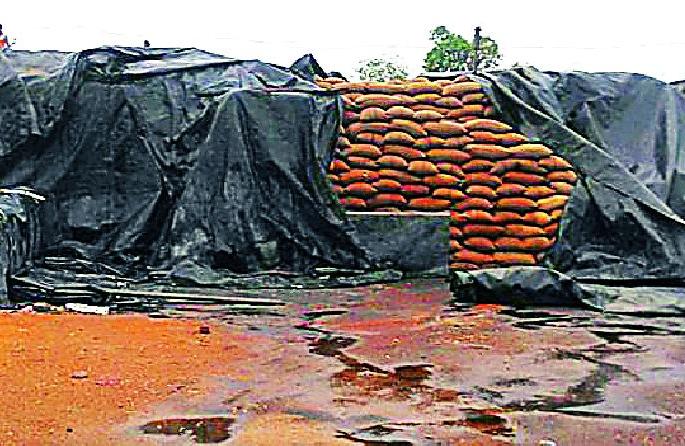In five years there is no compensation | पाच वर्षांत एकदाही भरडाई मिळत नाही In five years there is no compensation | पाच वर्षांत एकदाही भरडाई मिळत नाही
