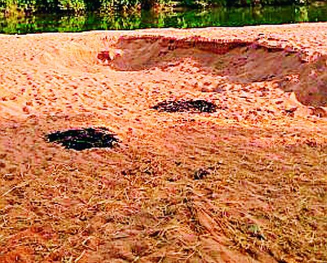 Due to the ban sandgate careless in the district | बंदीमुळे जिल्ह्यातील रेतीघाट बेवारस Due to the ban sandgate careless in the district | बंदीमुळे जिल्ह्यातील रेतीघाट बेवारस