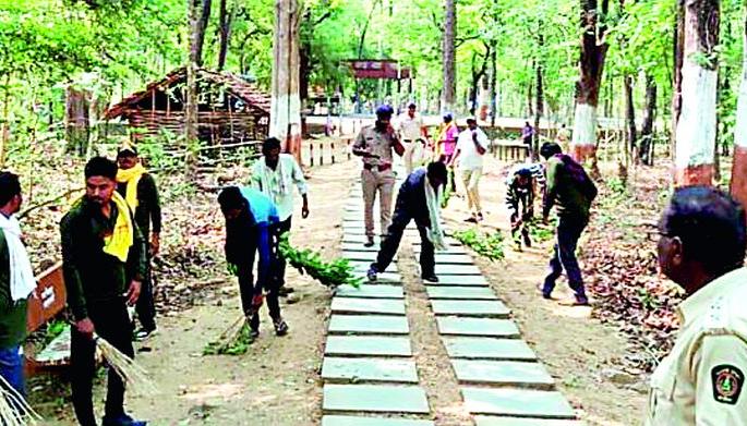 World Environment Day glittering Alapally's 'Gallery of Forest' | जागतिक पर्यावरणदिनी चकाकले आलापल्लीचे ‘ग्लाेरी ऑफ फाॅरेस्ट’
