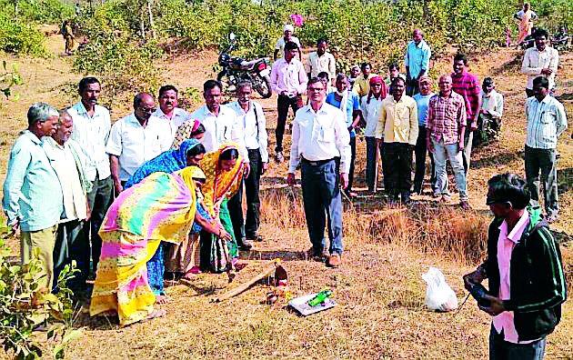 Continuous work of renovation | वनतलावाचे काम सुरू Continuous work of renovation | वनतलावाचे काम सुरू