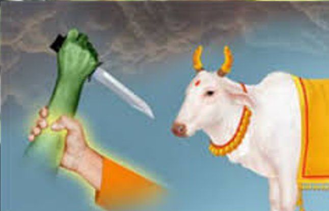 Demand for implementation of cow-slaughter ban | गो-हत्याबंदीची अंमलबजावणी करण्याची मागणी